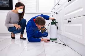 Real Estate Pest Inspections in Terryville, NY